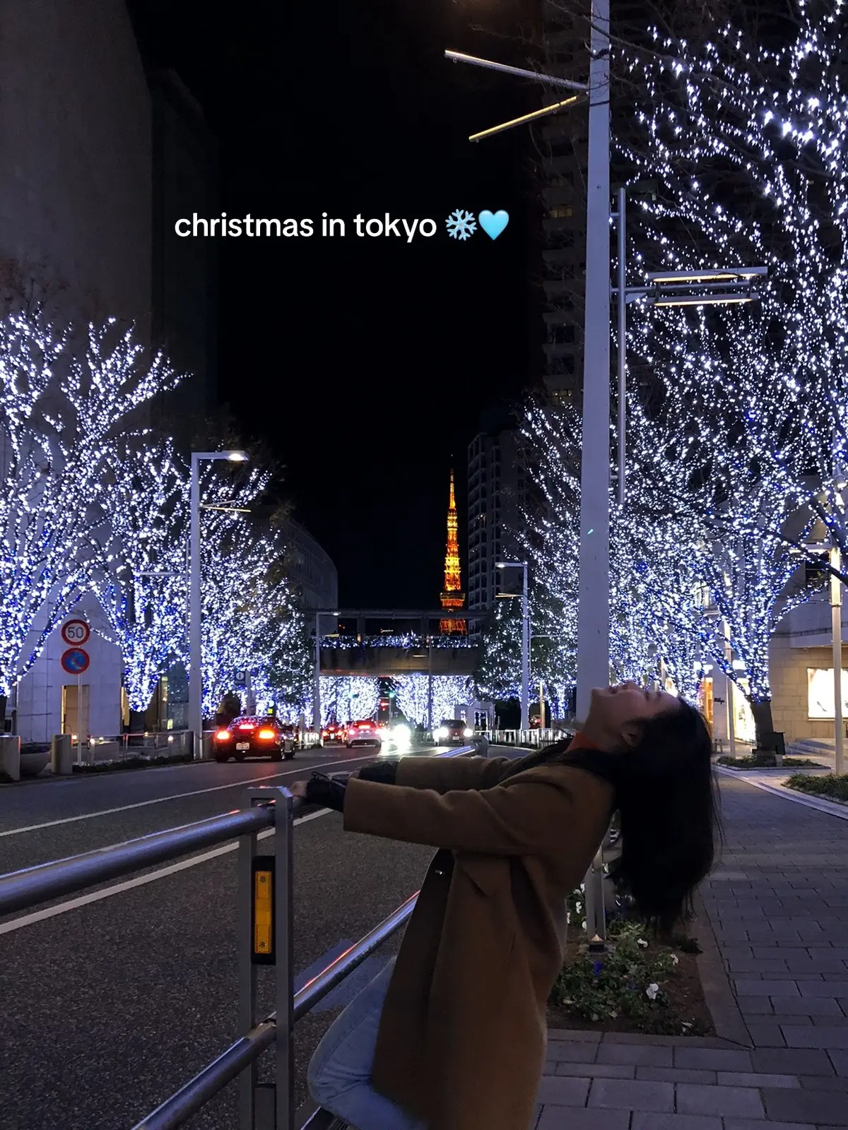 This was a few years ago but reminiscing seeing these xmas lights 🥹🌟🎄