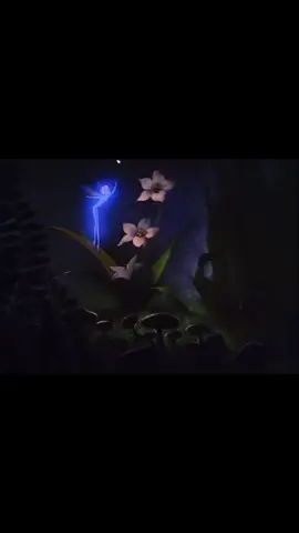 #animacion #hadas #bosque #fantasia#parati #paratii #magia 