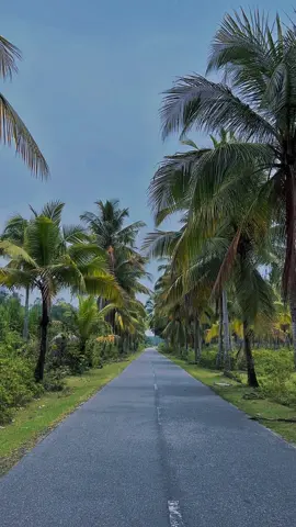 Jalan menuju barus, memiliki banyak pantai yang indah #barus #tapteng #sibolga_sumatera_utara #sibolga  #CapCut 