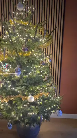 #merrychristmas 