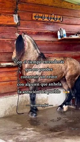 #caballos #agropecuario #maximo #🐴❤️ #despecho #mediosed #emotional #frases #fypシ #ranchos 
