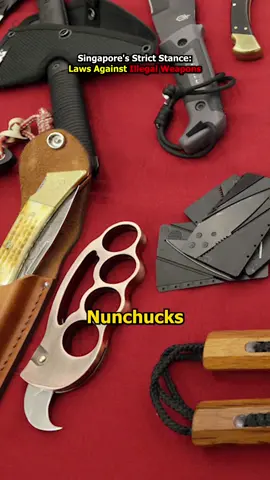 Recently, there was an increase in the import of offensive weapons like nunchucks, knuckledusters and slingshots in Singapore. A total of 77 cases were detected between Jan and Oct 2023, a 67% increase as compared to the same period in 2022. It is an offense to possess or import such weapons without licence in Singapore. Offenders may be fined, investigated or arrested for the act even when committed unknowingly. Follow us on our social media: https://lnk.bio/planb.