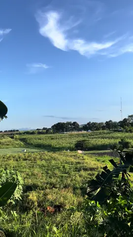 To be in a peaceful place in 2024 🤞 #fyp 