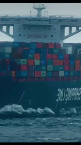 containers fall iff ship in a storm😧#fyp #northsea #dangerousjobs # #boat #xyzabc #likeandfollow👍 