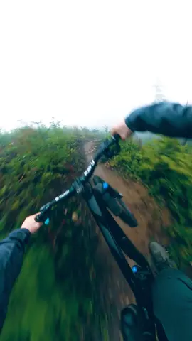 In This Video: A Man Enjoys Mountain Biking! #mtb #forest #nature #fyp 