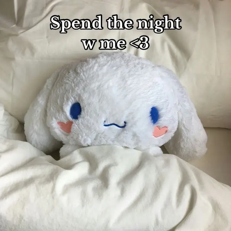 Spend the night w me (: #miffy #cinnamoroll #sanrio #nightroutine #skincare #pmskincareroutine #routine #pray #islam #muslim 