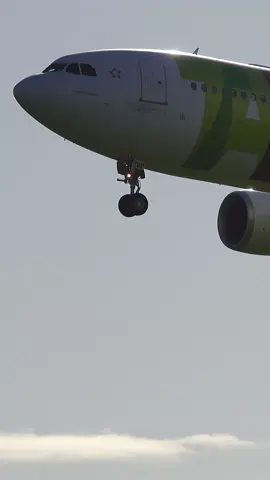Butter Landing! 🧈✈️