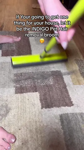 Let it be the Indigopetco pet hair removal broom #CleanTok #pethairremovalbroom #pethairremoval #cleaningtiktok #householdproducts #satisfying #fyp 