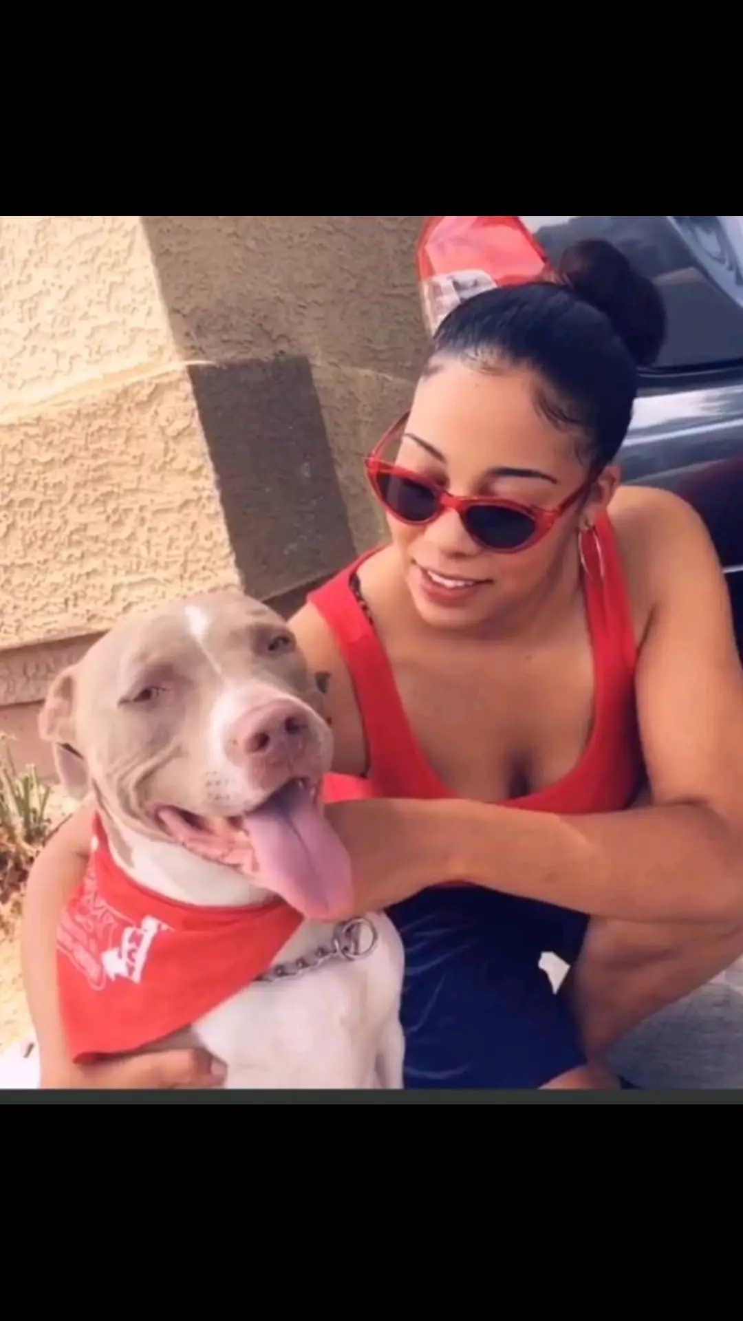 Humans are weird, this bitch was solid❤️#fyp #lesbiansoftiktok #pitbull #rip 