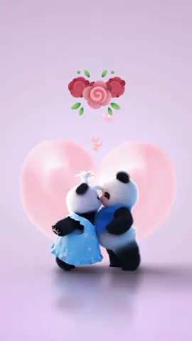 Panda yang romantis #pandalucu #pandalucugemoy #romantiscouple