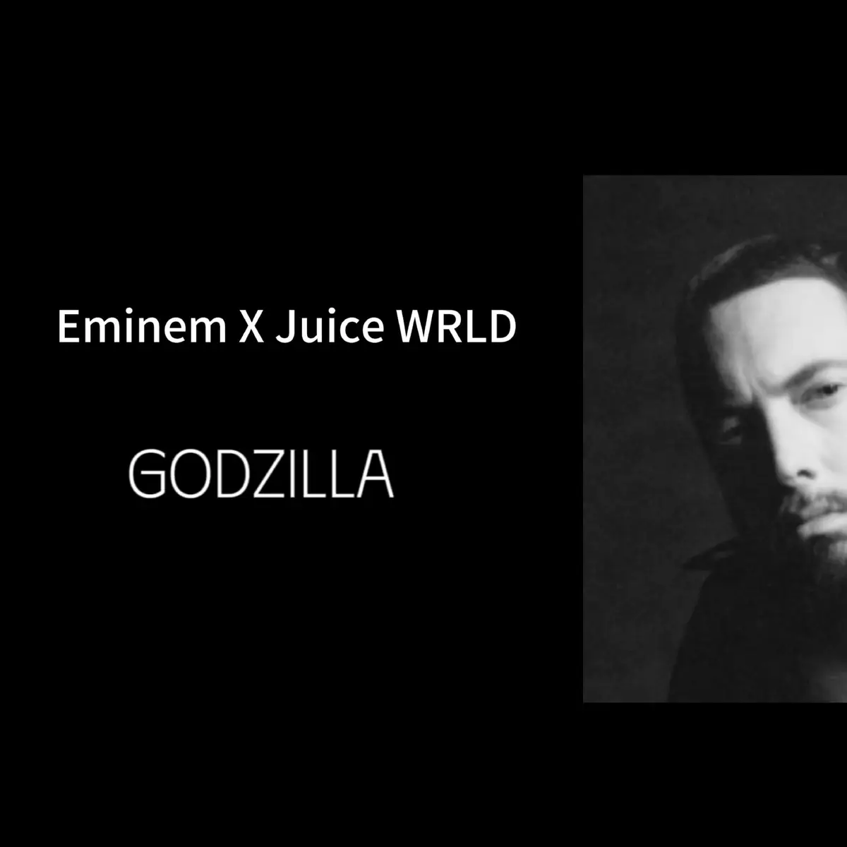 Godzilla - Eminem & Juice WRLD #eminem #godzilla #rap #lytics #fyp #dc