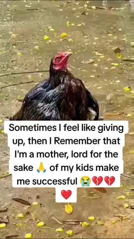 love#motherslove #todaysquote #amadiaustine #fyp 