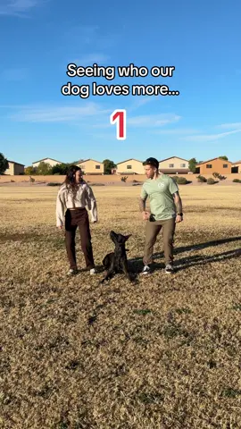 I think dad cheated at the end 🙄 #dogchallengerunaway #dutchshepherd #belgiummalinois #dogmomaf 