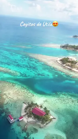 Si tienen la oportunidad de venir a conocer Utila, háganlo, es un paraíso. #utila #bayislands #island #islasdelabahia #honduras #estoeshonduras #travel #turismo #fyp #viajes #turismonacional 