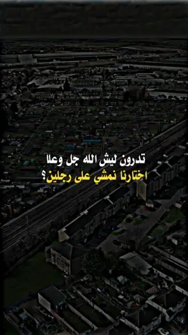 اتعلم لماذا الله سبحانه وتعالى اختارنا نمشي على رجلين؟#قصص_من_التاريخ👑 #قصص_اسلاميه_وتاريخيه #مواعظ_وعبر #مواعظ_مؤثرة #مواعظ_دينيه_جميلة 