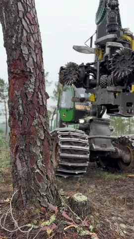 Harvester Johndeere 1270g#timberteamhdpm #machine #johndeere #harvester1270g #wood #forest #viral #viralvideo #parati #lorax #tree 