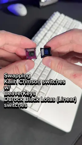🛑 @BeaverKeys x @Hexgears Collab 🛑 Two amazing brands came together in this video to create one ultimate keyboard 🔥 We combined the Hexgears Y5 keyboard with BeaverKeys Durock Black Lotus (Linear) switches ⌨️ Drop your thoughts on this sick custom keeb below! Before or after – which one are you choosing? 😎 Click my bio to check out both brands. 🛒 Get 5% off BeaverKeys products with code: EASYBOINK at checkout. 😁 Snag a 10% discount on Hexgears gear using: Easy10 at checkout. 😁 Ƹ̵̡Ӝ̵̨̄Ʒ #cutekeyboardclub #cutekeyboard #mechanicalkeyboard #mechanicalkeyboards #customkeyboards #cutekeycaps #keycaps #keycapset #hexgears #beaverkeys #keyboardswitches