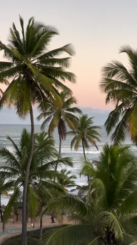 Bem-vindo ao Sauípe Resorts ala Terra, onde a experiência de hospedagem é uma viagem por cores, texturas, aromas, sabores e sons que conectam os visitantes à atmosfera local e à cultura brasileira e baiana. Aqui você encontra a piscina mais divertida entre as alas, tem programação intensa, com muito axé, funk, zumba e entretenimento non stop. Predominância para atividades individuais, como as danças. Ao se hospedar na ala Terra, você terá uma experiência única, que proporciona uma imersão na cultura local de forma inesquecível e alegre. ---------- ✈ Agência de viagens online, especialista nos melhores Resorts! 📍 www.reservasresorts.com.br ---------- #resort #praia #brasil #sol #verao #viagem #ferias #areia #penaareia