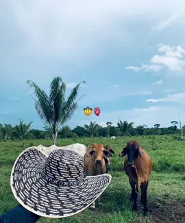 #latengoqueencontrar🎶#viralvideo #paratiii 🤠🥃