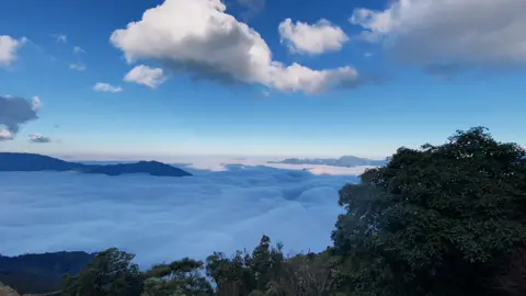 Không có mảnh đất nào là xa lạ, chỉ có kẻ lữ hành là người xa lạ.Săn mây Tà Xùa thành công 🤭  #taxua  #mayvanui #trekking #canhdep #huyenvi #masew #nhacchill #thugian #xuhuong #fypシ #taxua #trever #dulich #mit 