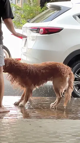 Cho hỏi con này là con gì vậy mng 🤣 