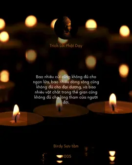 Lòng Tham:  khiến người ta không bao giờ biết đủ  #loiphatday #buddha #trich #quote #birdy 