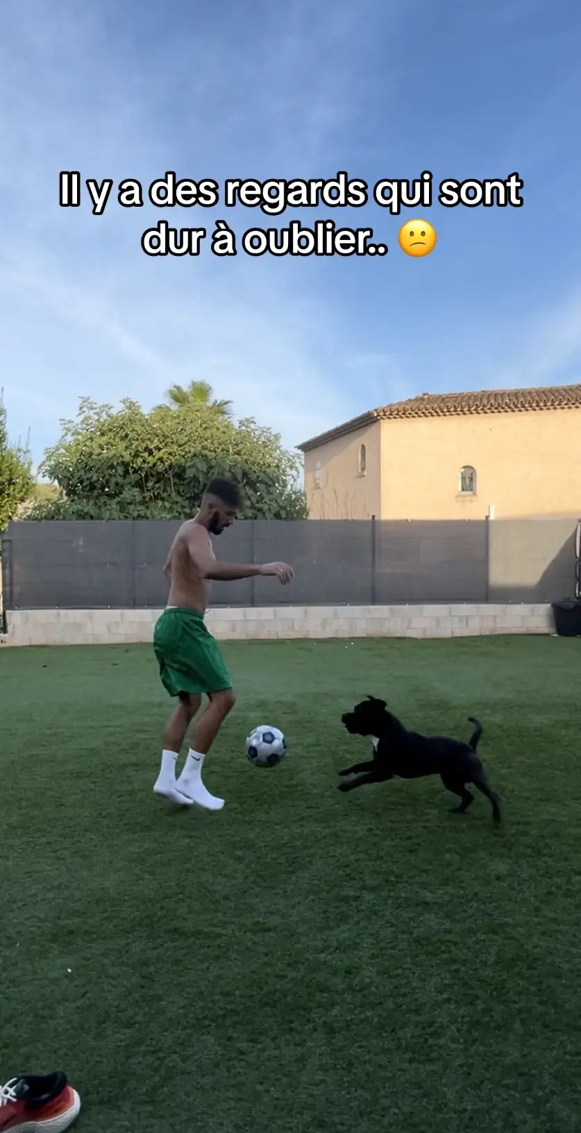 👀🐶⚽️