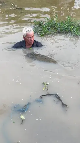 Amazing Fisherman Skills Hunting Giant River Monster #fishing 