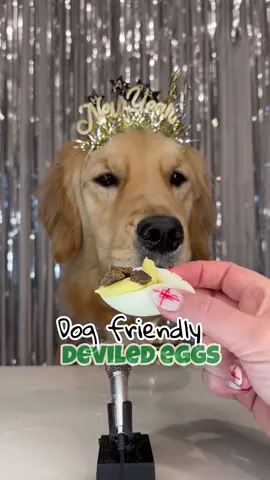 On this episode of ASMR recipes 🎤 Introducing our latest creation: Dog Friendly Deviled Eggs✨ 🥚 with @Solid Gold Pets #paid The perfect appetizer to share! #ad #solidgoldpets #nourishyourpet #dogfriendly #asmr  #doglover #winterrecipe #dogfriendlyrecipe 