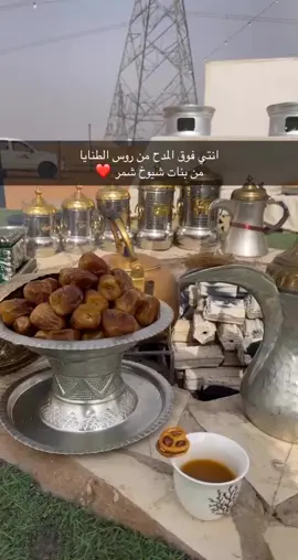 حتى ملك يقول شمر دوله🥺❤️#باشات_شمر_الى_الصياهد #مبروك_لشمر_المركز_الثاني #explore #شمر_الطنايا #viral #foryou #منشن #اكسبلورexplore #اكسبلور 