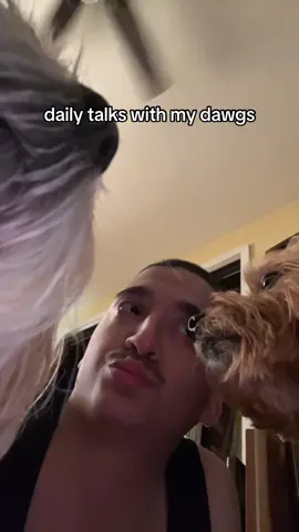 me and my dawgs foreva 🐶🤝🏼 #fyp #foryou #dogs #mydawgs #dogsoftiktok #shihtzu #yorkie #dailytalk #funny #viral 