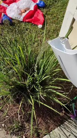 #tiktokmademebuyit #tiktokshop #healthyfamily #homeessentials #floridaproblems #floridacheck #MomsofTikTok #dehumidifier 