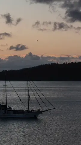 Sailing round the Whitsundays #CapCut #aus #aussie #whitsundays #sailboat #sunset #sea #whitsundayslife #whitsundaysislands #whitsundaysaustralia #whitsundayssailing 