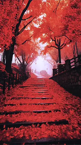 Scenery#scenery #beautifull 