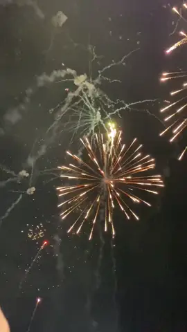 Advance happy new year 🎉🎉  #happynewyear  #auldlangsyne #allanrranin #foryoupage #fyp 