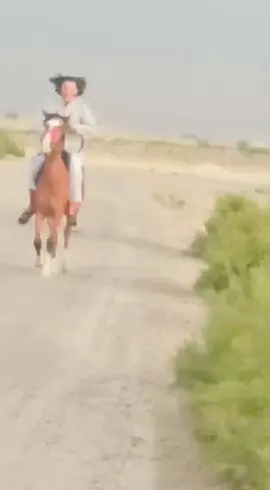 #جولا_على_ضهر_الخيل #الشعب_الصيني_ماله_حل😂😂 