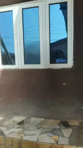 #CapCut 