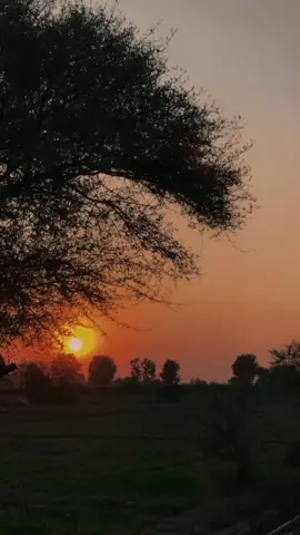 شام جو ھي  پھر  ناء اسان  جي ڪيو                                                   منظور سخیراٹي    #sindhisong #foryou #sindhistatus #sindhisongs #sindhitiktok #manzoorsakhiranioldsong #manzoorsakhirani #winter #evening #song #manzoorsakhiranistatus #manzoorsakhiranisongs #shamjoheepahar Sham jo hee pehar