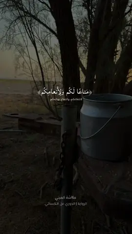 اللهم صل وسلم على نبينا محمد 🖤. #عكاشة_كميني #سورة_عبس #الدوري_عن_الكسائي #quran_alkarim #التفسير_المختصر #اكسبلورexplore 
