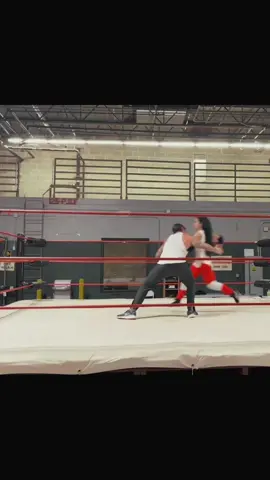 #AJLEE #cmpunk arriving in good physical condition by 2024
