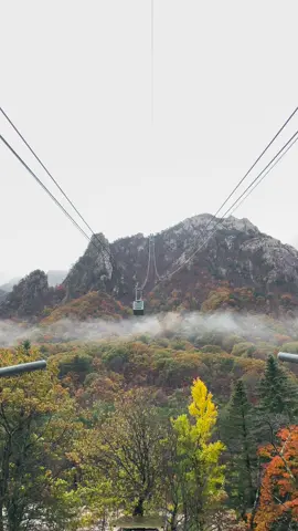 No filter needed for this beauty. Dibuat takjub sama keindahan autumn di mt. Sorak. Ngerasain cable car untuk pertama kalinya dengan view yang bener-bener indah banget ditemani gerimis. Sebagai seorang Pluviophile ini adalah paket kombo yang gabisa diungkapin dengan kata-kata 😊🍂