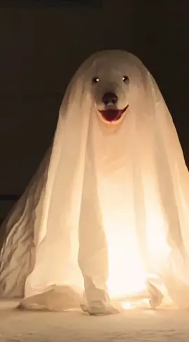 👻😂 #ghost #ghostface #funnyvideos 