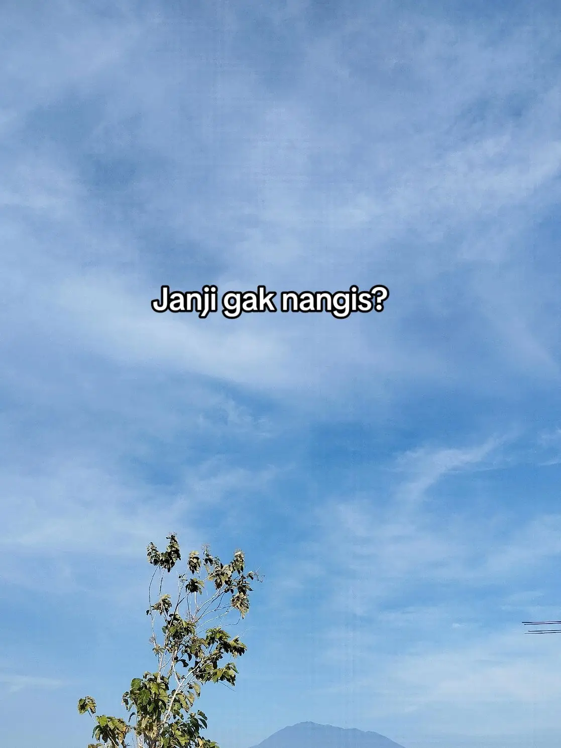 #laguviral #liriklagu #fyp #karenabersamamusemuaterasaindah 