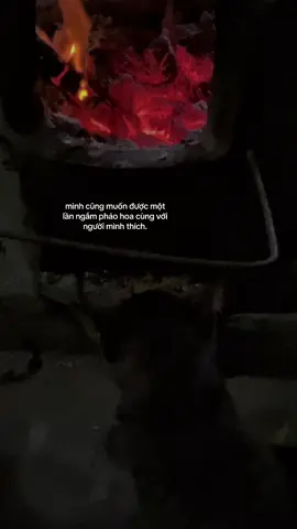 cũng muốn..