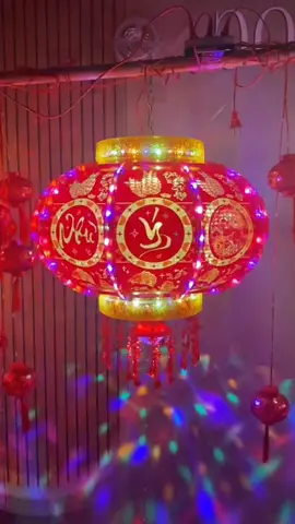 Lồng đèn treo Tết #tet #xuan2024 #trangtritet #tet2024 #longdenxoay360do #denlongdienxoay360 