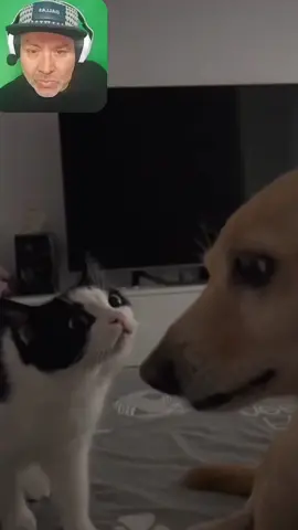 Reacting to you move you die!!! 