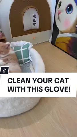 Get this Dry Cleaning Gloves today to clean your cat easily! 😻✨