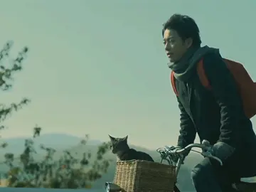 #ifcatsdisappearedfromtheworld #edit 