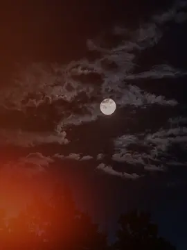 #CapCut #2024 #newyear #song  #music #neverknewhername #moon #chill #vibes #viral #fyp 