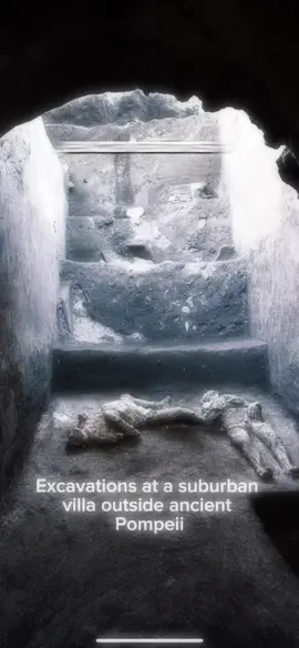 New #pompei #discovery #reels #archaeology #ancienthistory #supervolcano 